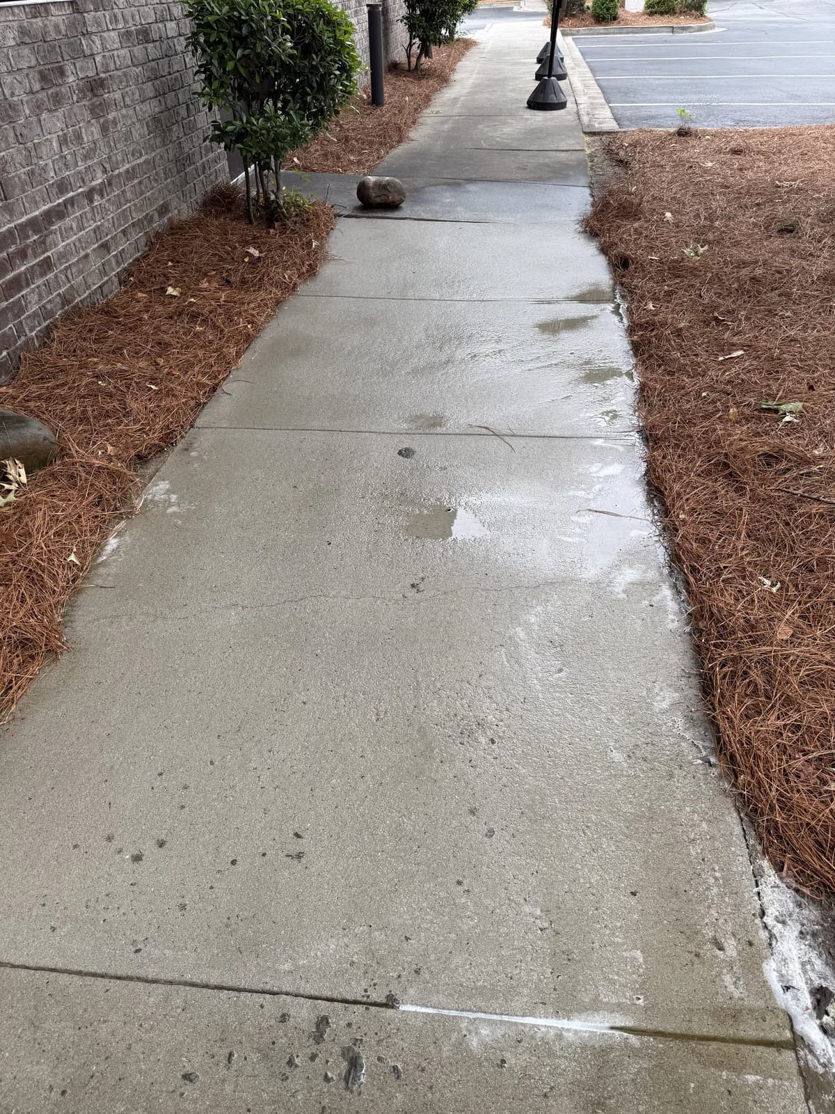 Bright clean concrete front walkway after pressure washing