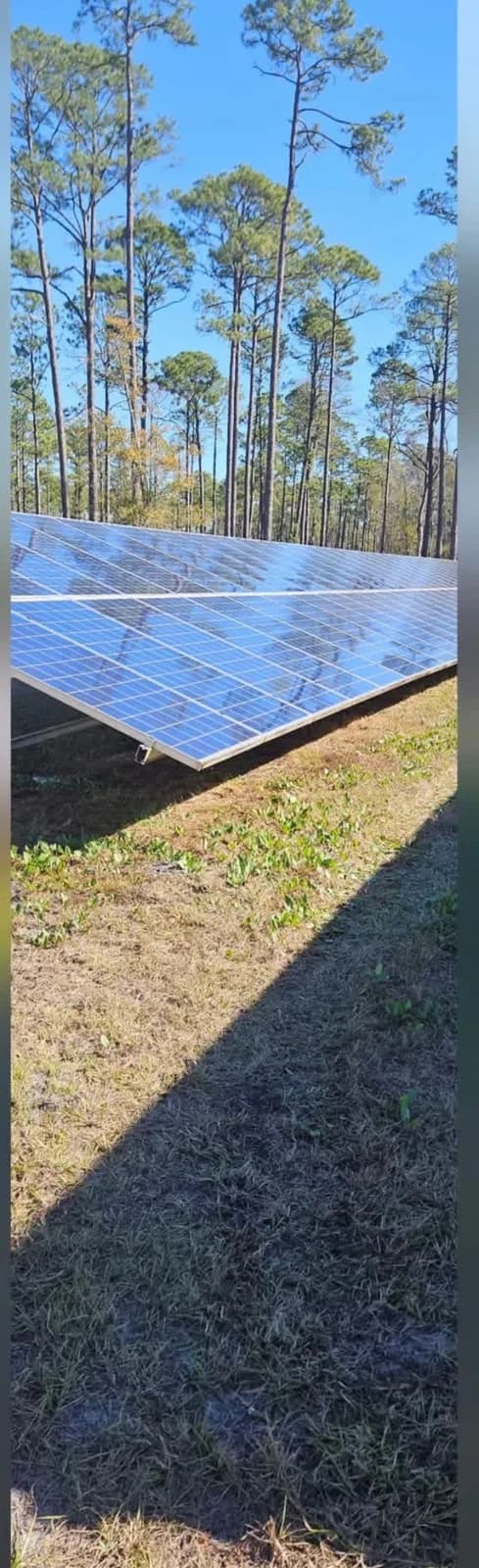 Ground mounted solar panels shining clean after a deionized water wash