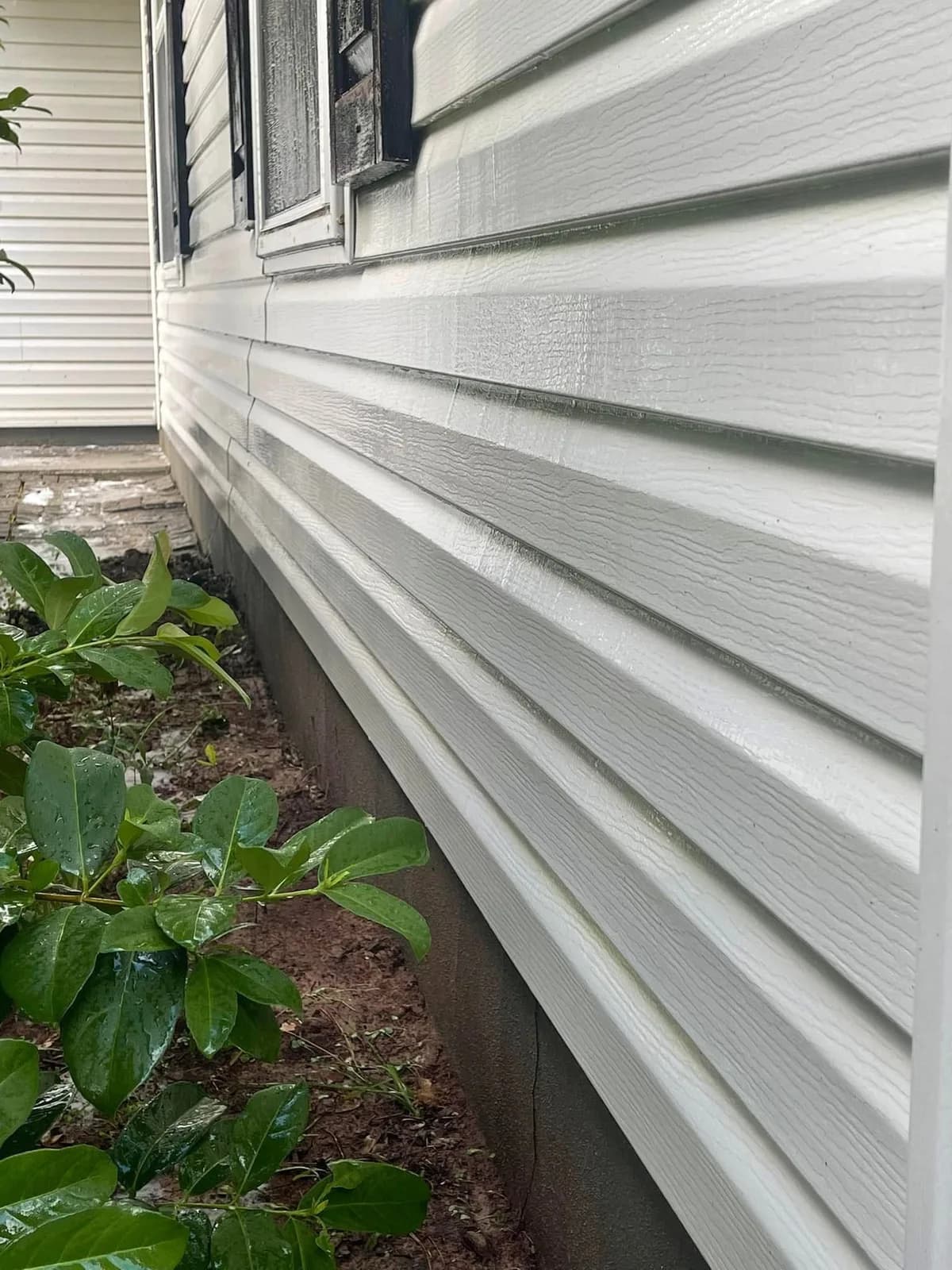 Bright white lap siding completely clean after a low pressure soft wash