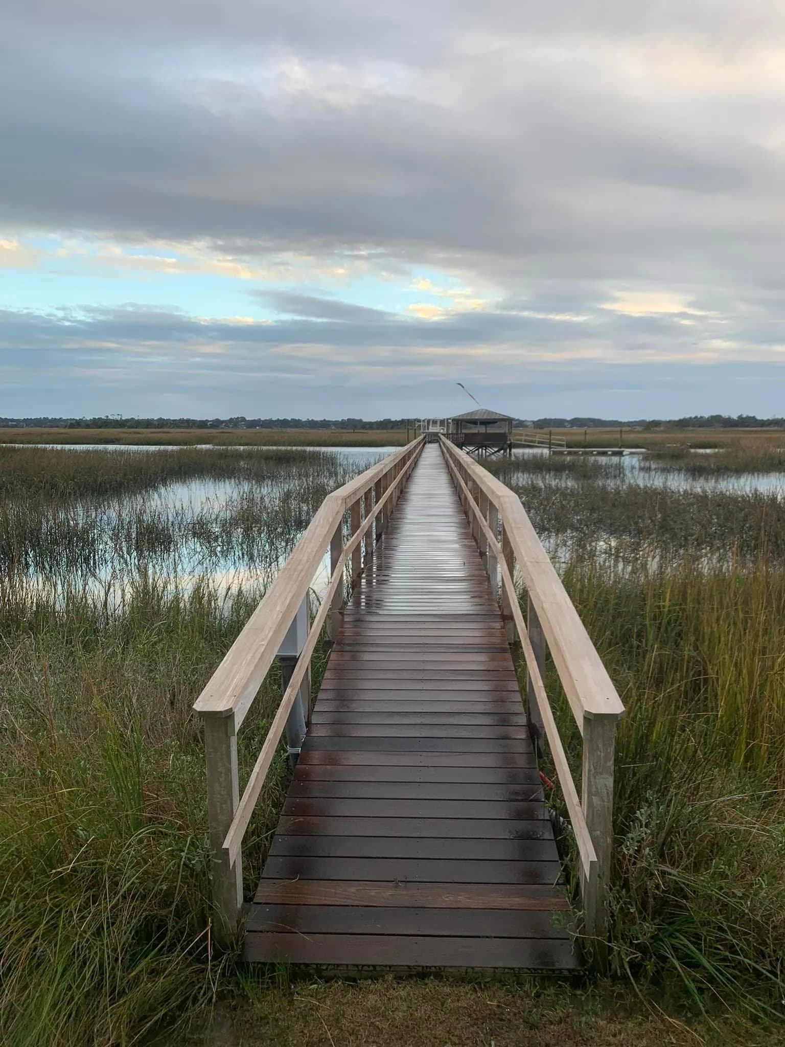 Seabrook Island private dock with tidal algae below water line and silvered driftwood boards above before professional dock pressure washing by Pepper's Pressure Washing
