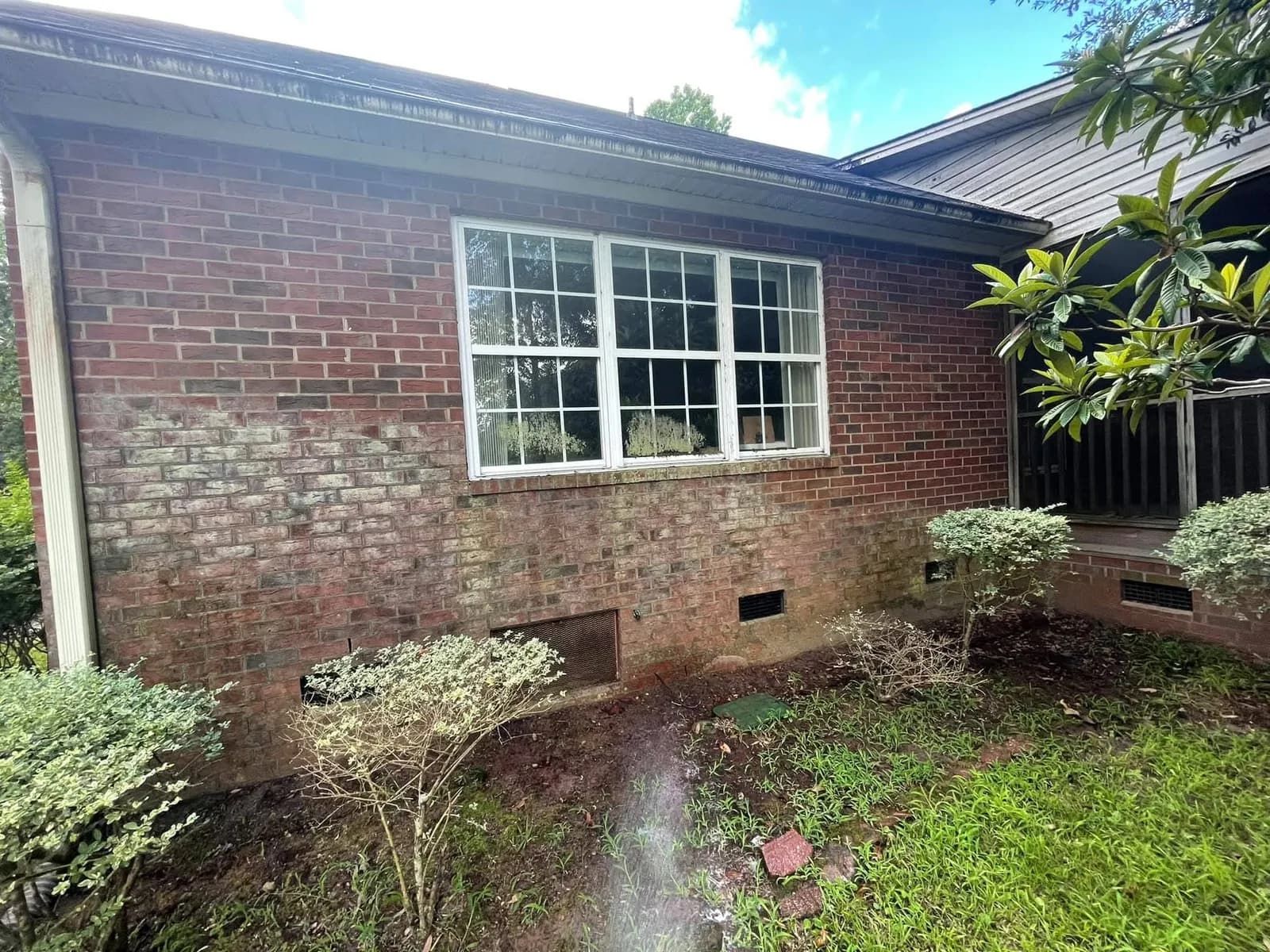 James Island home Hardie plank siding with green algae growth before professional soft-wash by Pepper's Pressure Washing