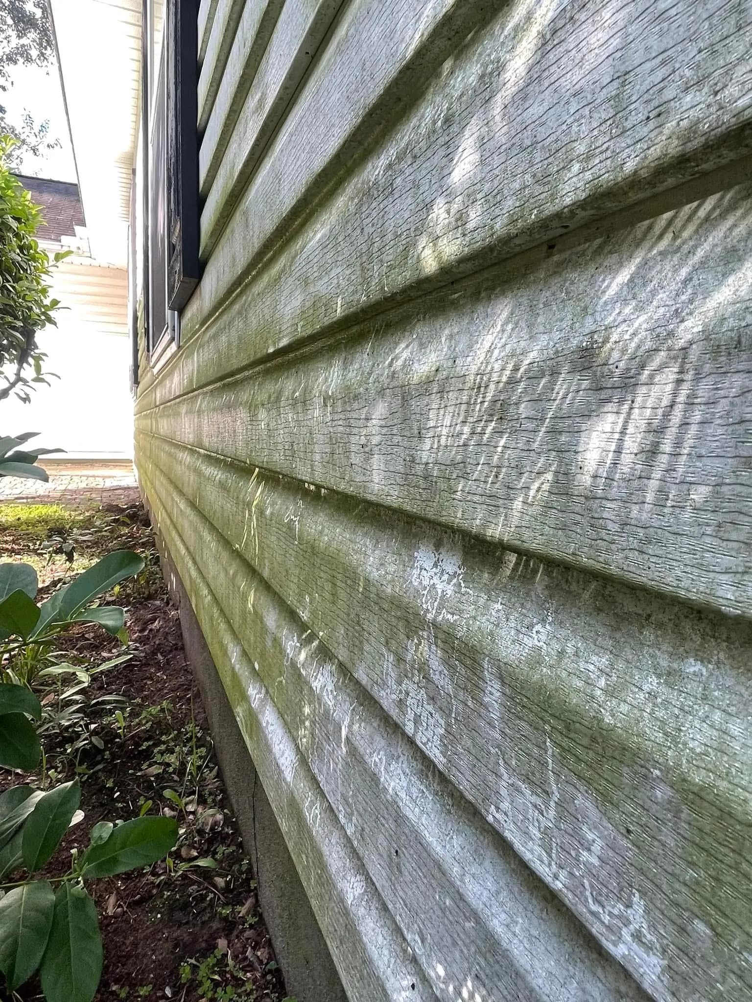 Johns Island home siding coated with spartina pollen and mildew before professional soft-wash by Pepper's Pressure Washing