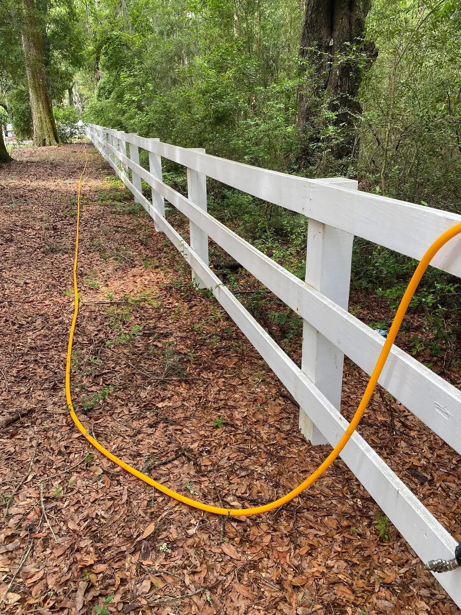 Charleston wood privacy fence with restored cedar color and mildew-free boards after professional fence cleaning by Pepper's Pressure Washing