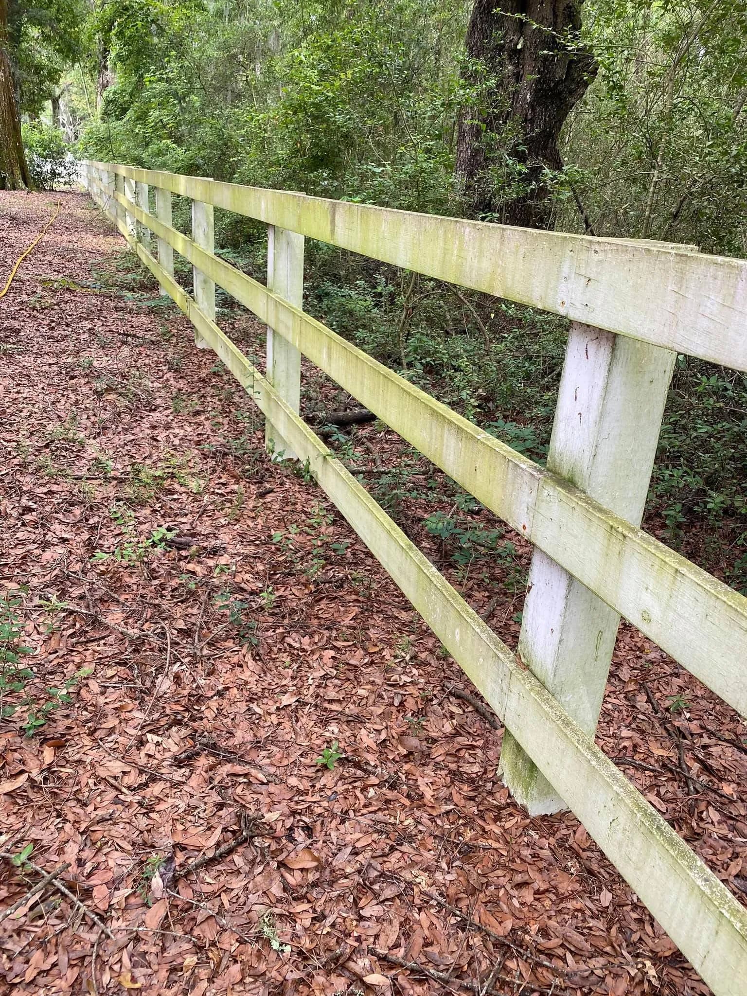 Charleston wood privacy fence with mildew and silvered cedar boards before professional fence cleaning by Pepper's Pressure Washing
