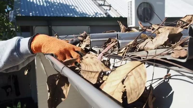 Professional gutter cleaning service removing debris from a Charleston Lowcountry home