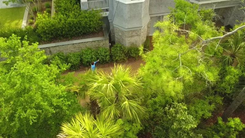 Mount Pleasant Pressure Washing: What 5-Star Service Actually Looks Like — Pepper's Pressure Washing
