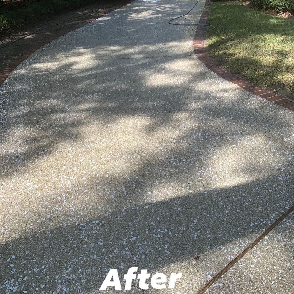 Charleston deck cleaning guide for composite, pressure-treated wood, and hardwood