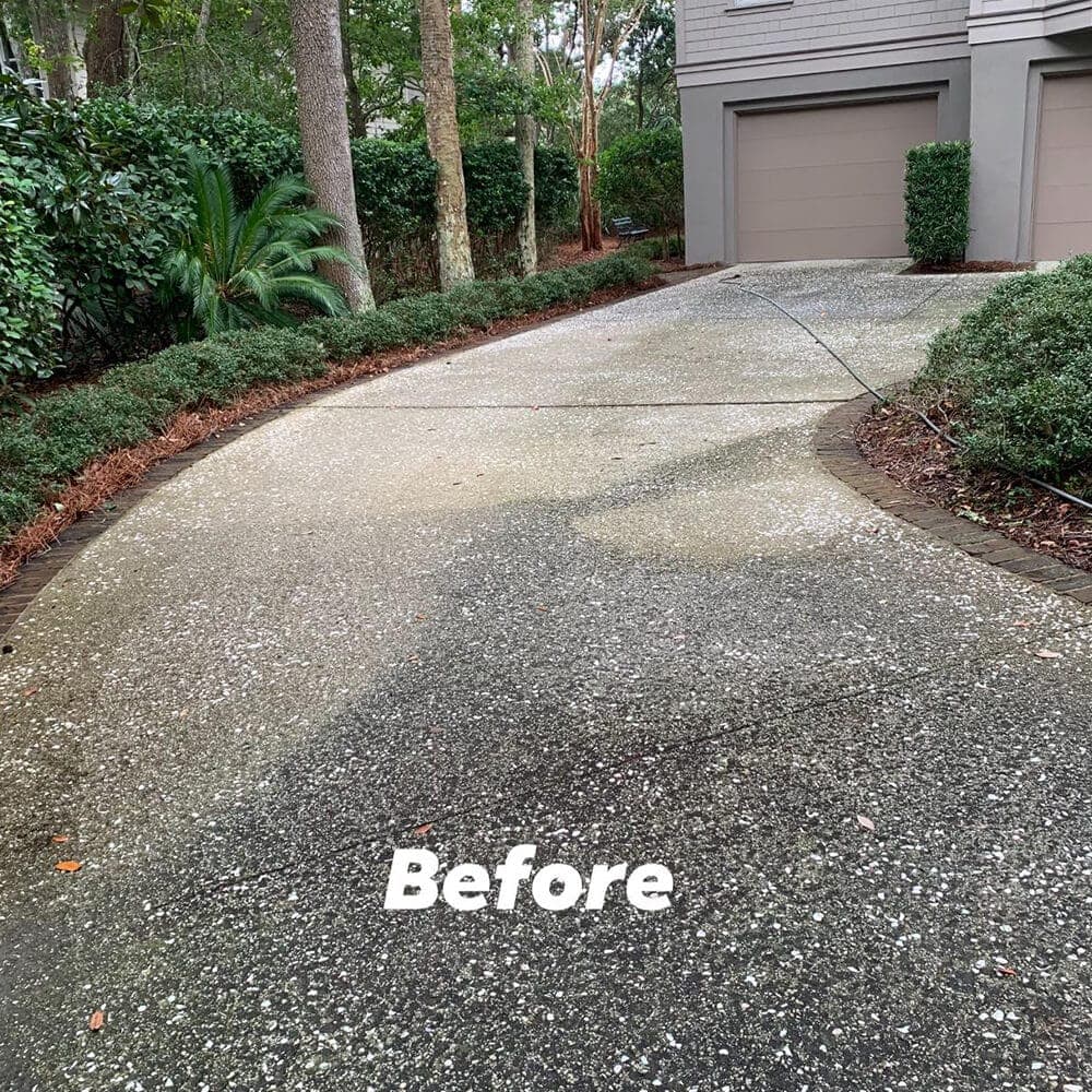 Green algae on a Lowcountry driveway before professional cleaning