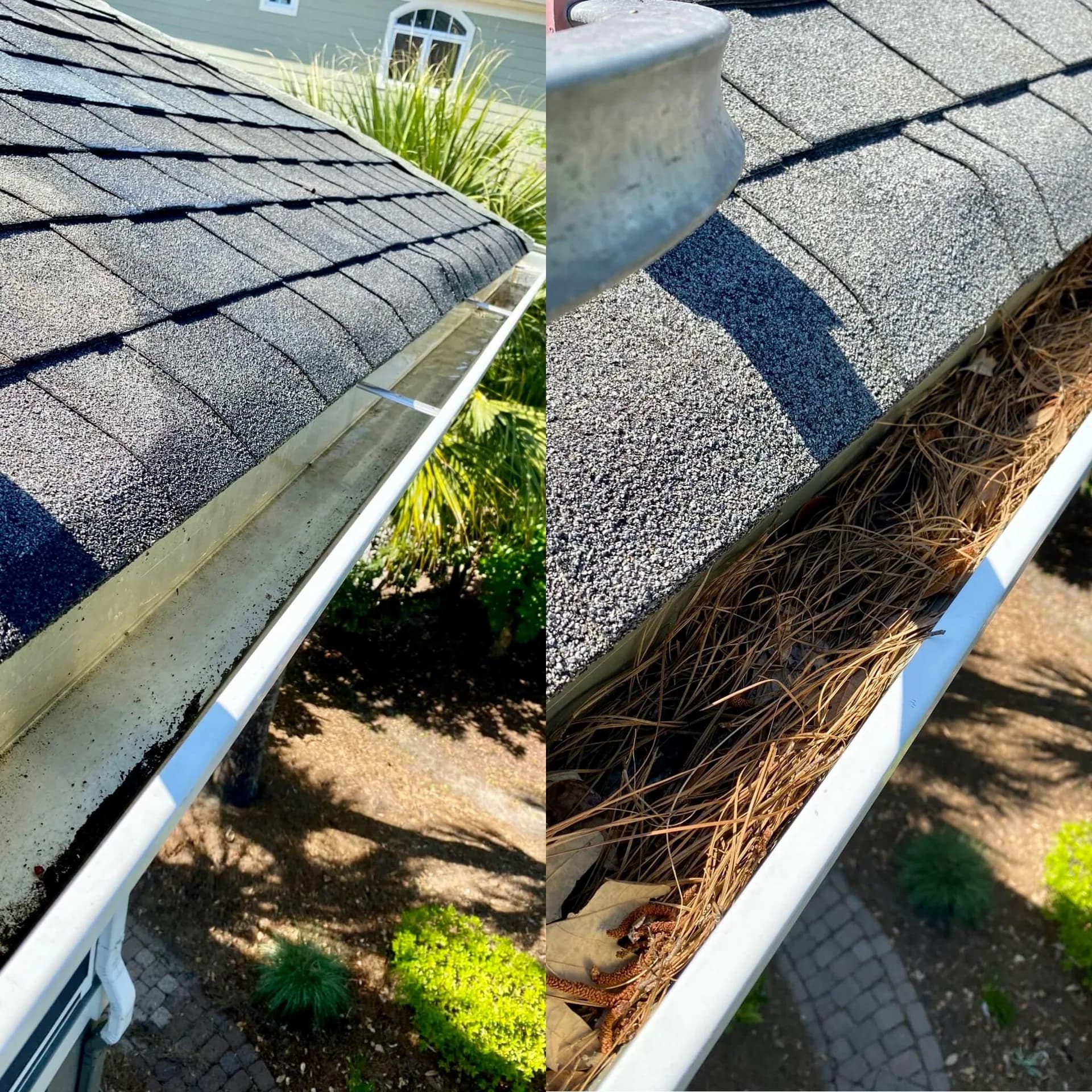 Before and after of a Charleston gutter cleaning, showing a clean flowing gutter on the left and a gutter packed with pine straw and magnolia leaves on the right