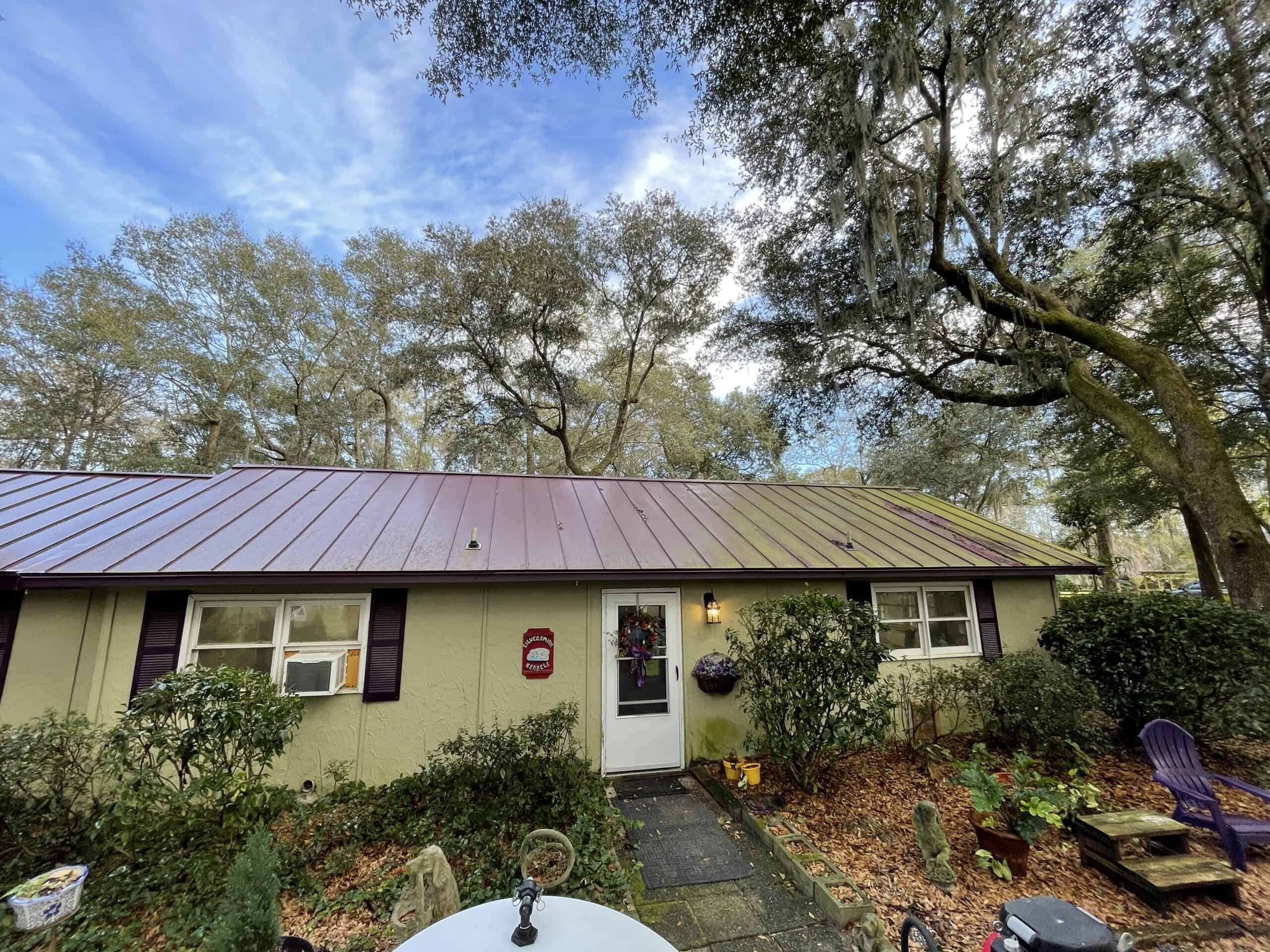 James Island roof clean and bright after Peppers soft wash treatment